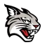 Davidson logo