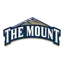 Mount St. Mary's logo