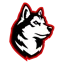 Northeastern logo
